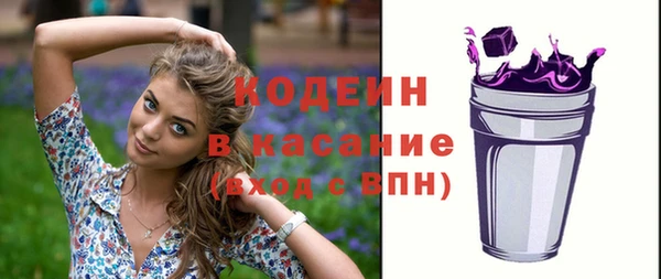 молекула духа Переславль-Залесский