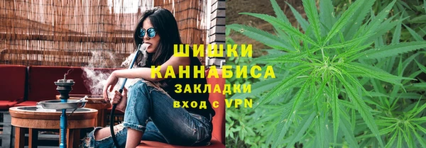 молекула духа Переславль-Залесский