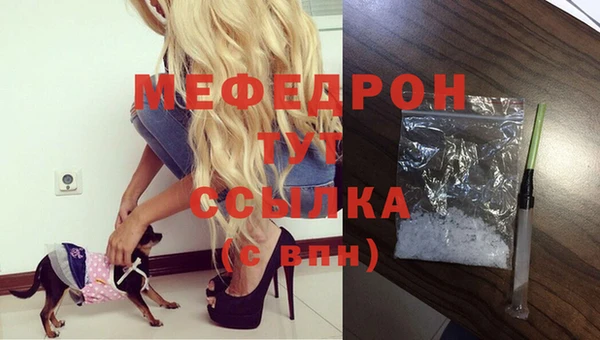 молекула духа Переславль-Залесский