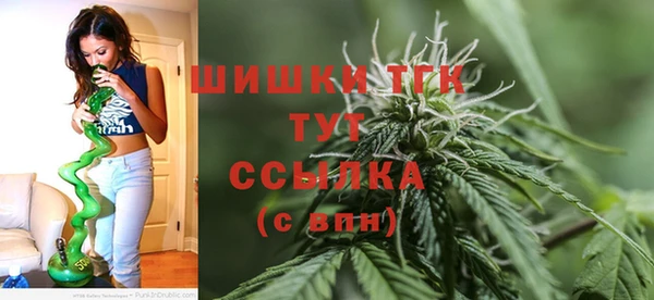 молекула духа Переславль-Залесский